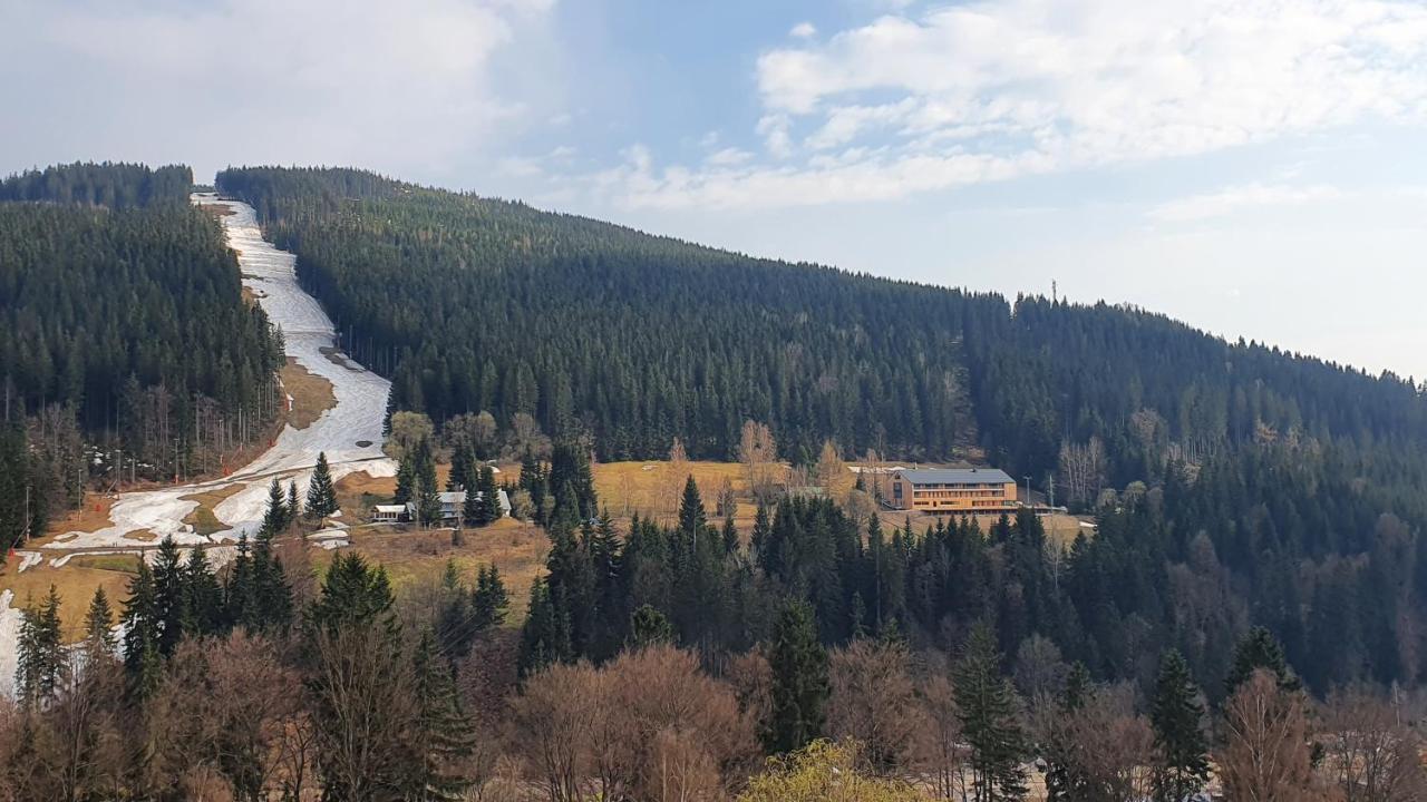 Rezidence Alpina - Apartman 15 Špindlerŭv Mlýn 外观 照片